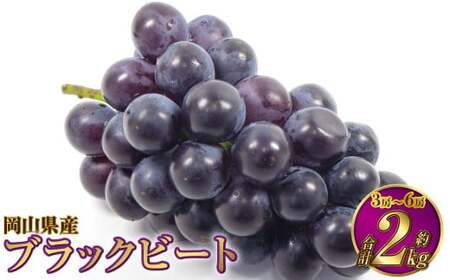 RY ubNr[g 2kgi3[`6[jy2026N8{`9{\z Ԃǂ uhE 