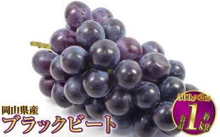 RY ubNr[g 1kgi500g×2[jy2026N8{`9{\z Ԃǂ uhE 