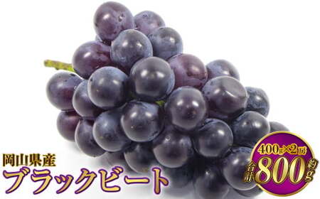 RY ubNr[g 800gi400g×2[jy2026N8{`9{\z Ԃǂ uhE 