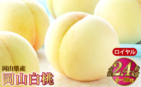 R C 5`10 2.4kg RYy2026N7{`8{\z    