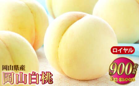 R C 3×300gi3LTCYj v900g RYy2026N7{`8{\z    