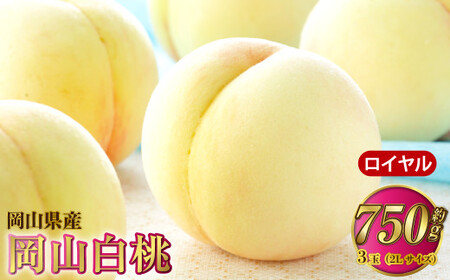 R C 3×250gi2LTCYj v750g RYy2026N7{`8{\z    