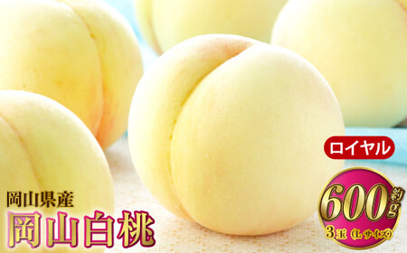 岡山白桃 ロイヤル 3玉×約200g(Lサイズ) 計約600g 岡山県産[2026年7月上旬〜8月下旬発送予定] 白桃 桃 もも モモ