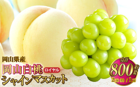 RY R C LTCY 200g×2ʁEVC}XJbg  400g×1[ l y2026N7{`8{\z     }XJbg Ԃǂ  uhE Zbg