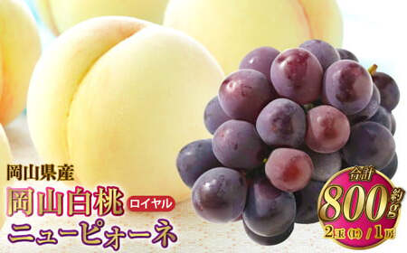 岡山県産 岡山白桃 ロイヤル Lサイズ 約200g×2玉・ニューピオーネ 約400g×1房 詰合せ [2026年7月上旬〜8月下旬発送予定] 白桃 桃 もも モモ ピオーネ ぶどう 葡萄 ブドウ セット