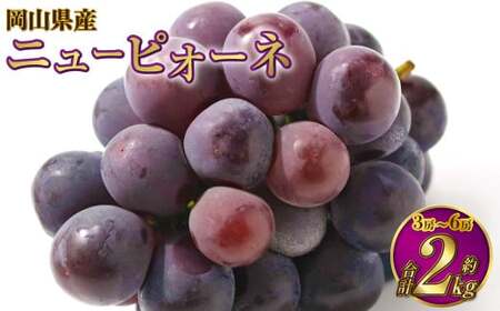 RY j[sI[l 2kgi3[`6[j y2026N6{`7{\z sI[l Ԃǂ  uhE Ȃ