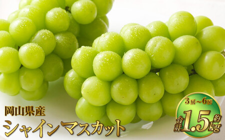 RY VC}XJbg  1.5kgi3[`6[j ʕ t[c  Ԃǂ uhE  }XJbg Ȃ 햳 ① Y ދ` y2026N7{`8{\z