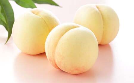 R  C 4`6 v1kg RY y2026N7{`8{\z t[c ʕ     ① Y