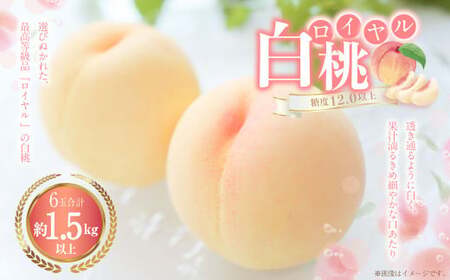 白桃 6玉(1.5kg以上) 等級:ロイヤル 化粧箱入り [2026年7月上旬〜8月上旬迄発送予定] 桃 モモ もも 果物 くだもの フルーツ 冷蔵 国産