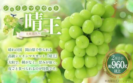 シャインマスカット 晴王 2房(1房480g以上) 計960g以上 化粧箱入り [2026年8月下旬〜11月上旬迄発送予定] ぶどう ブドウ 葡萄 マスカット 種なし 果物 くだもの フルーツ 冷蔵 国産