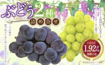 詰合 ニューピオーネ 2房 シャインマスカット 晴王 2房(1各480g以上)計1.92kg以上 化粧箱入り [2026年9月上旬〜10月上旬迄発送予定] ぶどう ブドウ 葡萄 マスカット ピオーネ 種なし 果物 くだもの フルーツ セット 冷蔵 国産