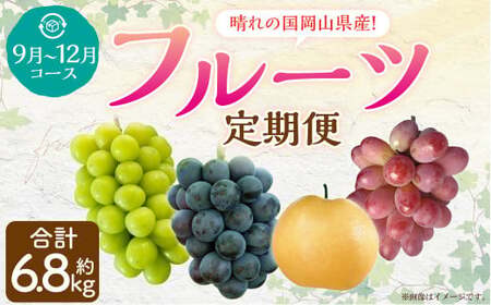 [4回定期便] 岡山県産 フルーツ定期便コース 計約6.8kg [2026年9月上旬発送開始] ニューピオーネ 瀬戸ジャイアンツ シャインマスカット 晴王 マスカット ぶどう 葡萄 紫苑 あたご 梨 なし フルーツ 果物 くだもの 岡山