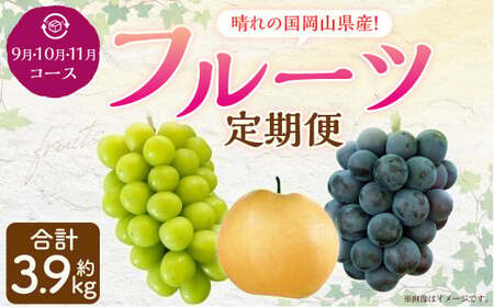 [3回定期便]岡山県産 フルーツ定期便コース (ニューピオーネ・ 晴王・あたご梨) 計約3.9kg [2026年9月上旬発送開始] ニューピオーネ シャインマスカット 晴王 ぶどう 葡萄 マスカット あたご 梨 なし フルーツ 果物 くだもの 岡山