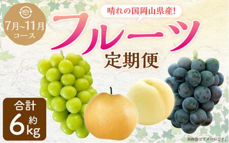 [5回定期便] 岡山県産 フルーツ定期便コース[2026年7月上旬発送開始]定期便 フルーツ 果物 くだもの 葡萄 ぶどう ブドウ 梨 なし ナシ 桃 もも モモ マスカット 贈答品 ギフト