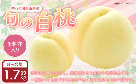 岡山県産 旬の白桃 8玉 (計1.7kg以上)[2026年7月上旬〜8月上旬迄発送予定] 化粧箱入り 果物 くだもの フルーツ 桃 もも モモ 白桃 旬 岡山 おかやま 国産 冷蔵