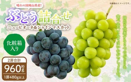 岡山県産 ぶどう詰合 ニューピオーネ 1房・シャインマスカット 晴王 1房 (各480g以上) 化粧箱入り [2026年8月下旬〜10月上旬迄発送予定] 果物 くだもの フルーツ ぶどう ブドウ 葡萄 マスカット 詰め合わせ 詰合せ 岡山 おかやま 国産 冷蔵