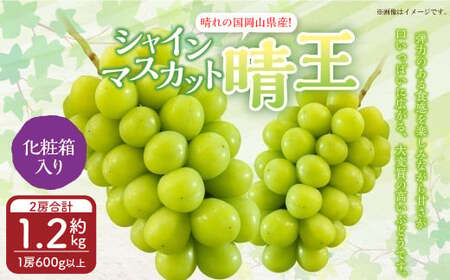 岡山県産 シャインマスカット 『晴王』 2房 (1房600g以上) 化粧箱入り [2026年8月下旬〜10月上旬迄発送予定] 果物 くだもの フルーツ ぶどう ブドウ 葡萄 マスカット 岡山 おかやま 国産 冷蔵