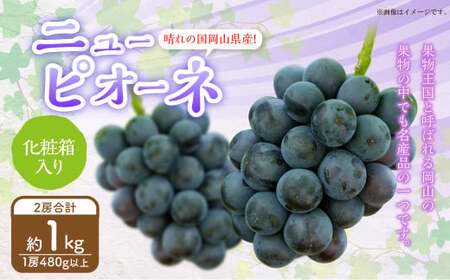 岡山県産 ニューピオーネ 2房 (1房480g以上) 約1kg 化粧箱入り [2026年8月下旬〜10月上旬迄発送予定] 果物 くだもの フルーツ ぶどう ブドウ 葡萄 岡山 おかやま 国産 冷蔵