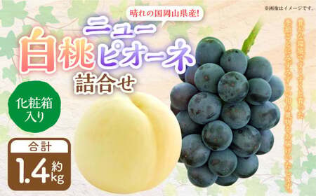 詰合 白桃 2玉 (1玉220g以上)・ニューピオーネ 2房 (1房480g以上) 化粧箱入り [2026年7月下旬〜8月上旬迄発送予定] 果物 くだもの フルーツ 桃 もも モモ ぶどう ブドウ 葡萄 詰合せ 詰め合わせ 岡山 おかやま 国産 冷蔵
