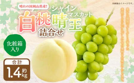 詰合 白桃 2玉 (1玉220g以上) シャインマスカット晴王 2房 (1房480g以上) 化粧箱入り [2026年7月下旬〜8月上旬迄発送予定] 果物 くだもの フルーツ 桃 もも モモ ぶどう ブドウ 葡萄 マスカット 詰合せ 詰め合わせ 岡山 おかやま 国産 冷蔵