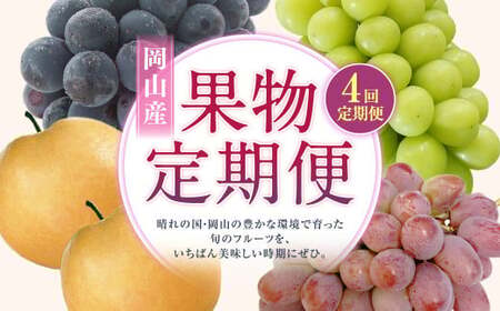 [4回定期便] ニューピオーネ 晴王 紫苑 あたご梨 [2026年9月上旬より順次発送開始] 梨 葡萄 ブドウ ぶどう フルーツ 果物 ギフト 国産 岡山県産