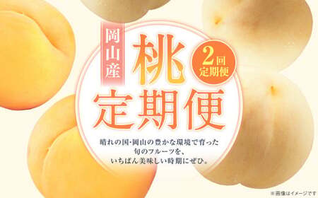 [2回定期便] 桃 (白桃・黄金桃)[2026年7月上旬より順次発送開始] もも フルーツ 果物 くだもの ギフト 白桃 黄金桃 国産 岡山県産