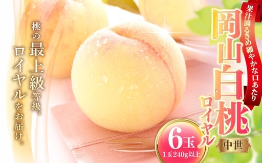岡山白桃 ( 中世 ) 6玉 ( 1玉240g以上 ) 果汁 果肉 糖度 有袋栽培 くだもの 果物 果実 白桃 もも モモ 桃 国産 岡山県産 フルーツ [ 2026年7月上旬〜8月下旬発送予定 ]