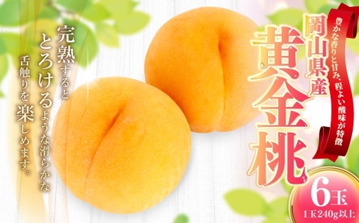 岡山県産 黄金桃 6玉 ( 1玉240g以上 ) もも モモ 桃 甘味 完熟 果肉 フルーツ 果汁 果皮 黄金 くだもの 果物 果実 国産 岡山県産 [ 2026年9月上旬〜9月下旬発送予定 ]