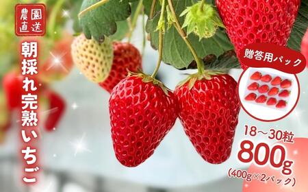 q n p  800g(400g×2)  M-FI-A07A