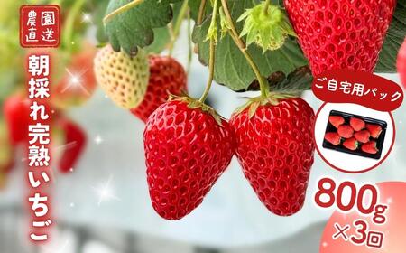 y3ցzq  n p 800g(200g×4)  M-FI-B04A