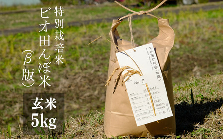 [特別栽培米]R5年産 ビオ田んぼ米(β版) コシヒカリ 玄米5kg_A-ab-ACZA