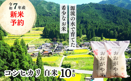 白米 10kg 令和7年産 コシヒカリ 岡山 「おおがや米」生産組合 G-ag-AECA