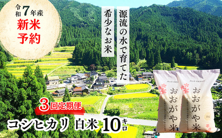 [3回定期便]白米 10kg 令和7年産 コシヒカリ 岡山 「おおがや米」生産組合 G-ag-BECA