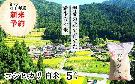 白米 5kg 令和7年産 コシヒカリ 岡山 「おおがや米」生産組合 G-af-AECA