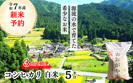 [3回定期便]白米 5kg 令和7年産 コシヒカリ 岡山 「おおがや米」生産組合 G-af-BECA