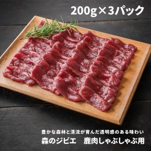 X̃WrG Ԃԗp 600g A-JJ-A16A