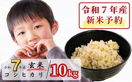 [令和7年産新米予約・10月ごろよりお届け開始]玄米 10kg 令和7年産 コシヒカリ 岡山 あわくら源流米 K-ac-AECA