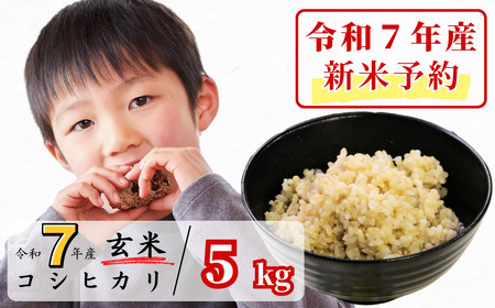 [令和7年産新米予約・10月ごろよりお届け開始]玄米 5kg 令和7年産 コシヒカリ 岡山 あわくら源流米 K-ab-AECA