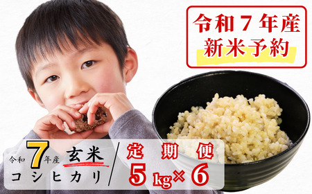 [令和7年産新米予約・10月ごろよりお届け開始][6回定期便]玄米 5kg 令和7年産 コシヒカリ 岡山 あわくら源流米 K-ab-CECA