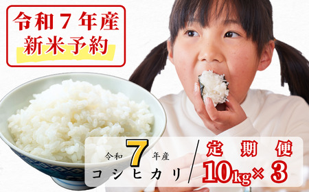 [令和7年産新米予約・10月ごろよりお届け開始][3回定期便]白米 10kg 令和7年産 コシヒカリ 岡山 あわくら源流米 K-ag-BECA