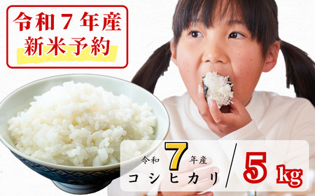 [令和7年産新米予約・10月ごろよりお届け開始]白米 5kg 令和7年産 コシヒカリ 岡山 あわくら源流米 K-af-AECA