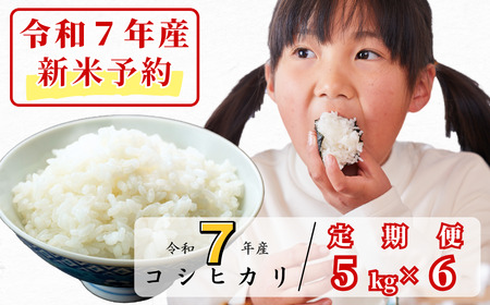 [令和7年産新米予約・10月ごろよりお届け開始][6回定期便]白米 5kg 令和7年産 コシヒカリ 岡山 あわくら源流米 K-af-CECA