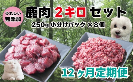 [12回定期便] 森のジビエ for PET 鹿肉 2kg ペットフード 犬 猫 A-JK-D01A