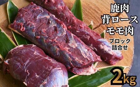 X̃WrG   ubN ܂l2s A-JJ-A23A