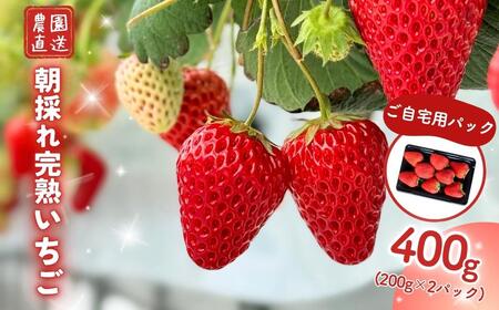 q n p 400gi200×QjM-FI-A16A