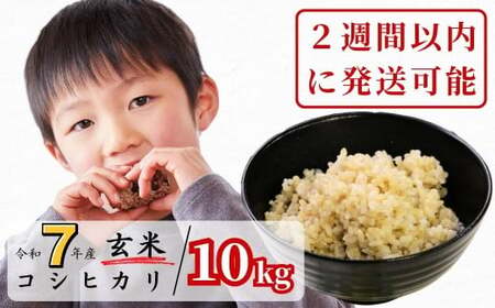 sߘa7NYQTԈȓɔ\t 10kg ߘa7NY RVqJ R 킭猹 K-ac-AEFA