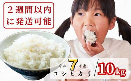 sߘa7NY2TԈȓɔt 10kg ߘa7NY RVqJ R 킭猹 K-ag-AEFA