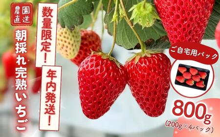 yNzq n p 800g(200g×4) M-FI-A24A