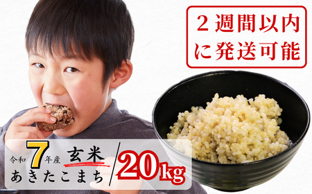 [令和7年産]あわくら源流米 あきたこまち 玄米 20kg|西粟倉村産・昼夜寒暖差が育む甘み|ふるさと納税 K-bh-AEIA