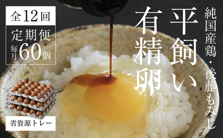 [2026年5月中旬〜発送]平飼い有精卵60個 省資源トレー[全12回定期便]|一年分の卵・エコ定期便(西粟倉村)[配送不可地域:沖縄・離島]t-SS-DrDA